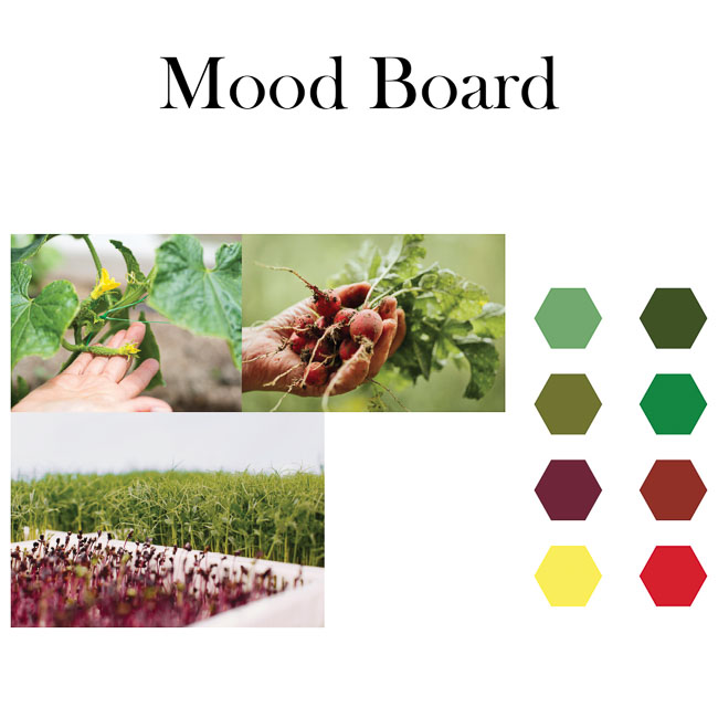 Mood Board